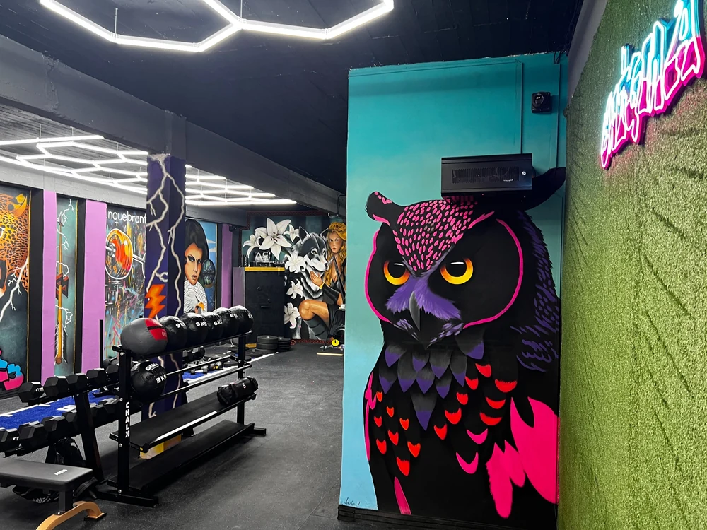 Mural del búho dentro de Enigma23